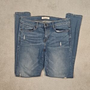 Banana Republic Distressed Blue Skinny Jeans